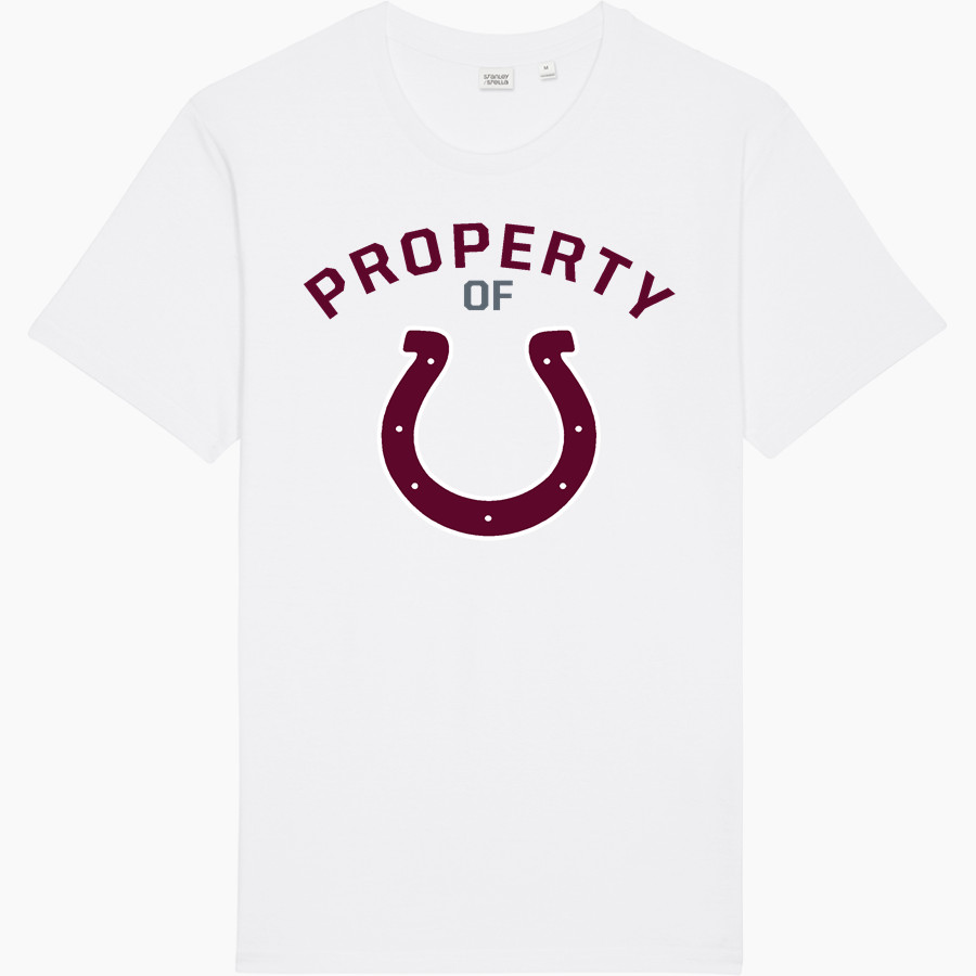 OWEN warhorses mountain tough...valley strong <span class="pdp-name-mascot">CHARLES D OWEN WARHORSES</span> Stanley/Stella Unisex Rocker Tee