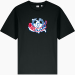 NIAAA - Stanley/Stella Unisex Freestyler Heavyweight Tee Front Thumbnail