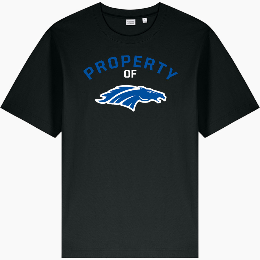 FORREST CITY HIGH SCHOOL MUSTANGS Stanley/Stella Unisex Freestyler Heavyweight Tee