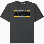 Avon Orioles <span class="pdp-name-mascot">Avon Orioles</span> Stanley/Stella Unisex Freestyler Heavyweight Tee Front Thumbnail
