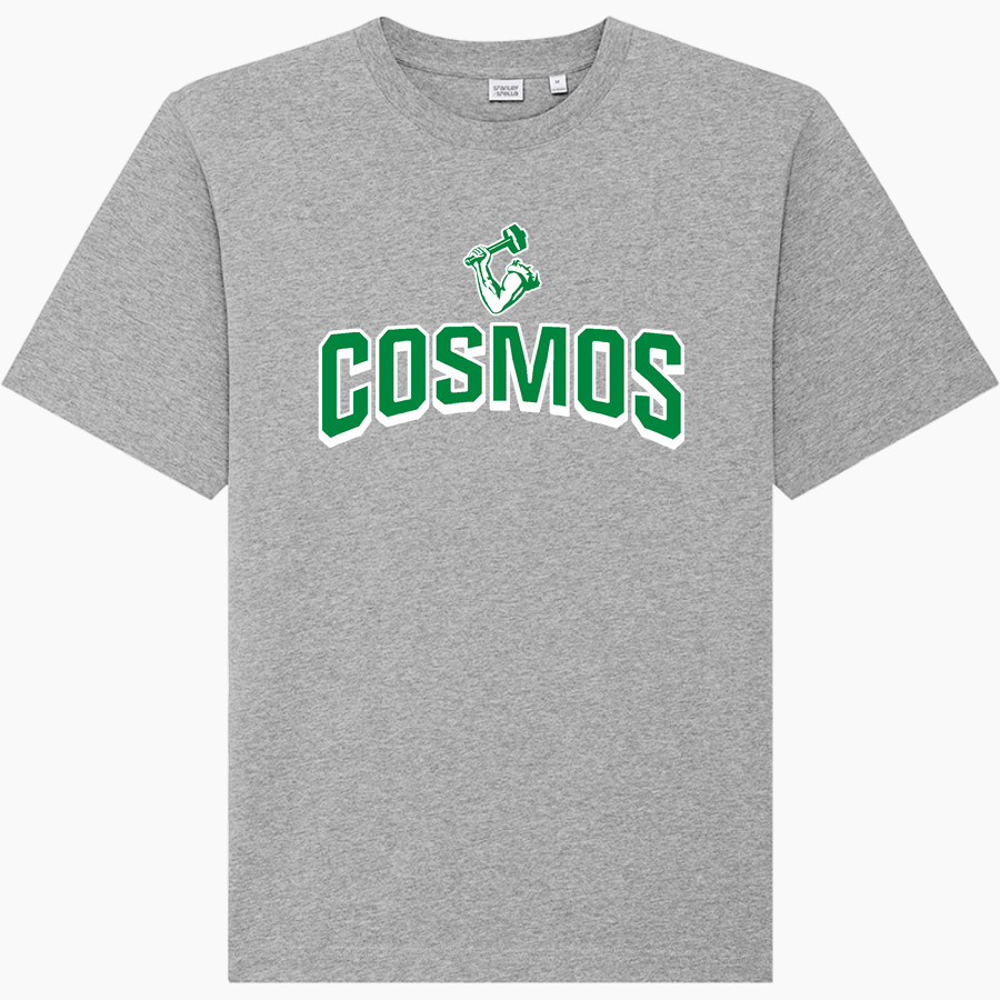 SPRINGFIELD HIGH SCHOOL COSMOS Stanley/Stella Unisex Freestyler Heavyweight Tee