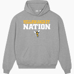 Rochester YellowJackets <span class="pdp-name-mascot">University of Rochester Athletics</span> Stanley/Stella Unisex Cooper Dry Hooded Sweatshirt Front Thumbnail