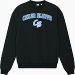 Cedar Bluffs Wildcats <span class="pdp-name-mascot">Cedar Bluffs Wildcats</span> Stanley/Stella Unisex Ledger Dry Crewneck Sweatshirt Front Thumbnail