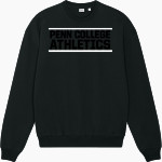 Penn College Wildcats Online Store <span class="pdp-name-mascot">Penn College Wildcats</span> Stanley/Stella Unisex Ledger Dry Crewneck Sweatshirt Front Thumbnail