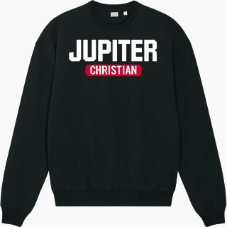 Stanley/Stella Unisex Ledger Dry Crewneck Sweatshirt