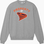 Katz Yeshiva Storm Stanley/Stella Unisex Ledger Dry Crewneck Sweatshirt Front Thumbnail