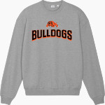WALDRON HIGH SCHOOL BULLDOGS Stanley/Stella Unisex Ledger Dry Crewneck Sweatshirt Front Thumbnail