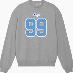 PATRICK HENRY HIGH SCHOOL REBELS <span class="pdp-name-mascot">PATRICK HENRY REBELS</span> Stanley/Stella Unisex Ledger Dry Crewneck Sweatshirt Front Thumbnail
