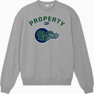 Stanley/Stella Unisex Ledger Dry Crewneck Sweatshirt