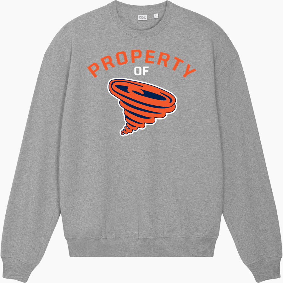 Katz Yeshiva Storm Stanley/Stella Unisex Ledger Dry Crewneck Sweatshirt