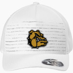 RICHARDS HIGH SCHOOL BULLDOGS <span class="pdp-name-mascot">RICHARDS HIGH SCHOOL BULLDOGS</span> TravisMathew FOMO Novelty Cap Front Thumbnail
