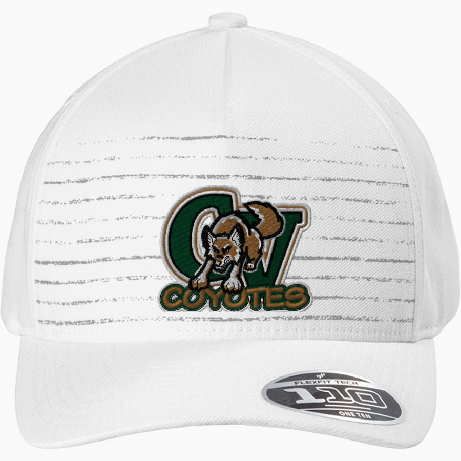 CAMPO VERDE HIGH SCHOOL COYOTES <span class="pdp-name-mascot">CAMPO VERDE COYOTES</span> TravisMathew FOMO Novelty Cap