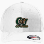 CAMPO VERDE HIGH SCHOOL COYOTES <span class="pdp-name-mascot">CAMPO VERDE COYOTES</span> TravisMathew Rad Flexback Cap Front Thumbnail