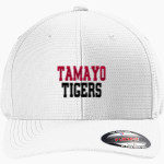 Tamayo Tigers <span class="pdp-name-mascot">Tamayo Tigers</span> TravisMathew Rad Flexback Cap Front Thumbnail
