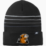 Lewis & Clark College The Official Online Store TravisMathew Striped Cuffed Beanie Front Thumbnail