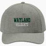 WAYLAND UNION HIGH SCHOOL WILDCATS <span class="pdp-name-mascot">WAYLAND WILDCATS</span> tentree Hemp Cap Front Thumbnail