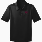 ARP HIGH SCHOOL TIGERS <span class="pdp-name-mascot">ARP TIGERS</span> Port Authority Youth Silk Touch Performance Polo Front Thumbnail