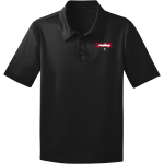 BLUE RIDGE Raiders <span class="pdp-name-mascot">BLUE RIDGE HIGH SCHOOL Raiders</span> Port Authority Youth Silk Touch Performance Polo Front Thumbnail