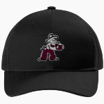 COBDEN HIGH SCHOOL APPLEKNOCKERS <span class="pdp-name-mascot">COBDEN APPLEKNOCKERS</span> Port Authority Youth Snapback Trucker Cap Front Thumbnail