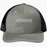 Appoquinimink Jaguars Sideline Store <span class="pdp-name-mascot">Appoquinimink Jaguars</span> Port Authority Youth Snapback Trucker Cap Front Thumbnail