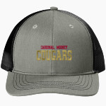 Cardinal Mooney Cougars <span class="pdp-name-mascot">Cardinal Mooney Cougars</span> Port Authority Youth Snapback Trucker Cap Front Thumbnail