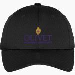 Olivet Nazarene Tigers <span class="pdp-name-mascot">Olivet Nazarene University Tigers</span> Port Authority Youth Pro Mesh Cap Front Thumbnail