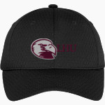 Lock Haven Bald Eagles <span class="pdp-name-mascot">Lock Haven University Bald Eagles</span> Port Authority Youth Pro Mesh Cap Front Thumbnail