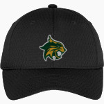 BENBROOK MIDDLE HIGH SCHOOL BOBCATS <span class="pdp-name-mascot">BENBROOK MIDDLE BOBCATS</span> Port Authority Youth Pro Mesh Cap Front Thumbnail