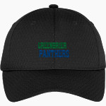 Greenbrier Panthers Port Authority Youth Pro Mesh Cap Front Thumbnail