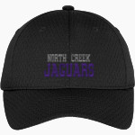 North Creek Jaguars <span class="pdp-name-mascot">North Creek Jaguars</span> Port Authority Youth Pro Mesh Cap Front Thumbnail