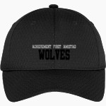 ACHIEVEMENT FIRST AMISTAD HIGH SCHOOL WOLVES <span class="pdp-name-mascot">ACHIEVEMENT FIRST AMISTAD WOLVES</span> Port Authority Youth Pro Mesh Cap Front Thumbnail
