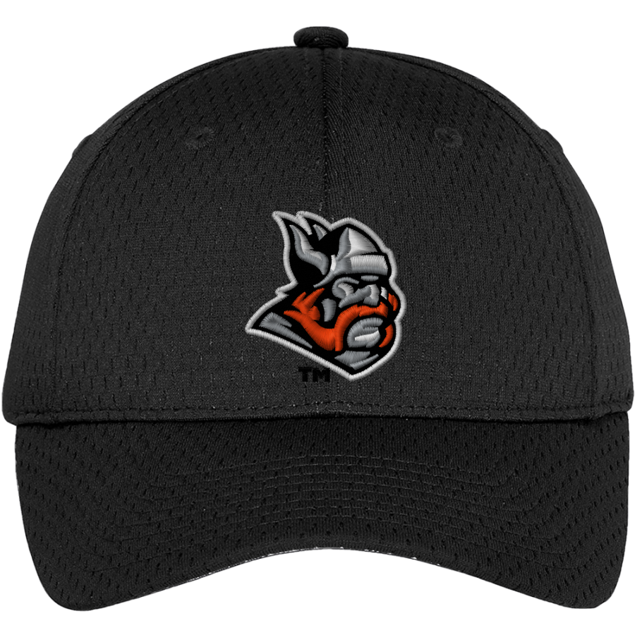 Dibble Vikings <span class="pdp-name-mascot">Dibble Vikings</span> Port Authority Youth Pro Mesh Cap