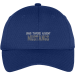 Grand Traverse Academy Mustangs <span class="pdp-name-mascot">Grand Traverse Academy Mustangs</span> Port Authority Youth Pro Mesh Cap Front Thumbnail