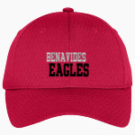 Benavides Eagles <span class="pdp-name-mascot">Benavides Eagles</span> Port Authority Youth Pro Mesh Cap Front Thumbnail