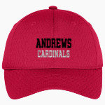 Andrews Cardinals <span class="pdp-name-mascot">Andrews University Cardinals</span> Port Authority Youth Pro Mesh Cap Front Thumbnail