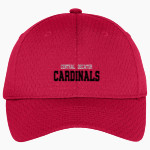 Central Decatur Cardinals Port Authority Youth Pro Mesh Cap Front Thumbnail