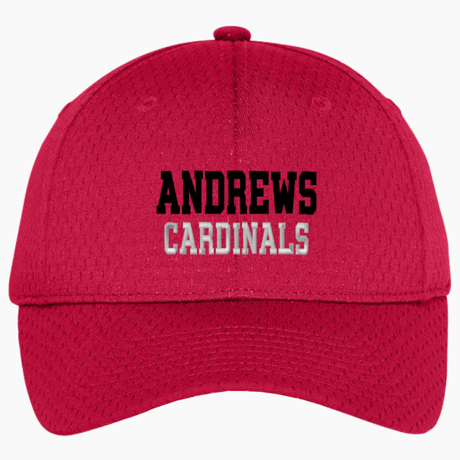 Andrews Cardinals <span class="pdp-name-mascot">Andrews University Cardinals</span> Port Authority Youth Pro Mesh Cap