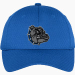 ALBEMARLE HIGH SCHOOL BULLDOGS <span class="pdp-name-mascot">ALBEMARLE BULLDOGS</span> Port Authority Youth Pro Mesh Cap Front Thumbnail