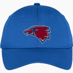 HARMONY SCHOOL OF ENDEAVOR - AUSTIN School <span class="pdp-name-mascot">HARMONY School</span> Port Authority Youth Pro Mesh Cap Front Thumbnail