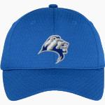 Finlandia Lions <span class="pdp-name-mascot">Finlandia Lions</span> Port Authority Youth Pro Mesh Cap Front Thumbnail