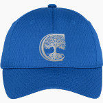 BACON ACADEMY BOBCATS <span class="pdp-name-mascot">BACON ACADEMY BOBCATS</span> Port Authority Youth Pro Mesh Cap Front Thumbnail