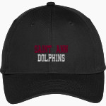 Saint Ann Dolphins Port & Company Youth Six-Panel Unstructured Twill Cap Front Thumbnail