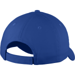 Harris Eagles <span class="pdp-name-mascot">Harris Eagles</span> Port & Company Youth Six-Panel Unstructured Twill Cap Back Thumbnail
