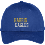 Harris Eagles <span class="pdp-name-mascot">Harris Eagles</span> Port & Company Youth Six-Panel Unstructured Twill Cap Front Thumbnail