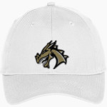 ARGOS HIGH SCHOOL DRAGONS <span class="pdp-name-mascot">ARGOS DRAGONS</span> Port & Company Youth Six-Panel Unstructured Twill Cap Front Thumbnail
