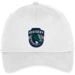 Special Olympics Kentucky Special Olympics <span class="pdp-name-mascot">Special Olympics of Kentucky</span> Port & Company Youth Six-Panel Unstructured Twill Cap Front Thumbnail