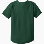 AZ Compass DRAGONS New Era Youth Diamond Era Full-Button Jersey Back Thumbnail