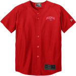 Fishers Chargers <span class="pdp-name-mascot">Fishers Chargers</span> New Era Youth Diamond Era Full-Button Jersey Front Thumbnail
