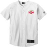 Andrean 59ers <span class="pdp-name-mascot">Andrean 59ers</span> New Era Youth Diamond Era Full-Button Jersey Front Thumbnail