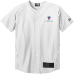 DWIGHT SCHOOL LIONS ONLINE STORE <span class="pdp-name-mascot">DWIGHT LIONS</span> New Era Youth Diamond Era Full-Button Jersey Front Thumbnail